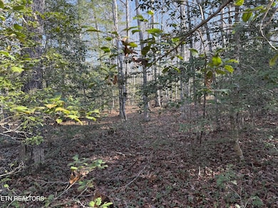 0 Walker Hollow Dr unit RTC3061466, Monterey, TN 38574 - photo 2