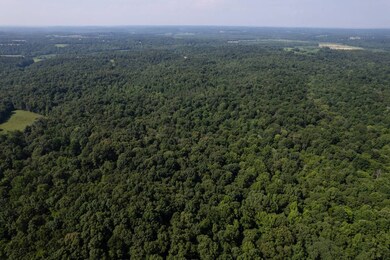 0 Dan Station Rd unit 11546184, Olaton, KY 42361 - photo 6