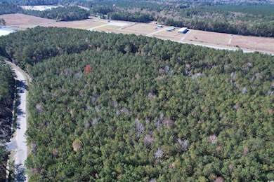 7.90 Acres-TBD Puncheon Creek Dr, Andrews, SC 29510 - photo 3