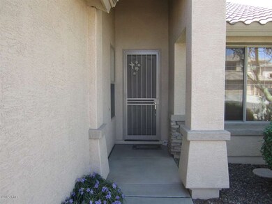 Security Door