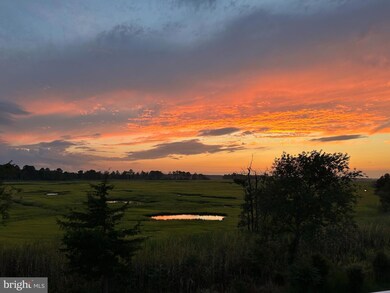 18321 Alpine Loop, Lewes, DE 19958 - photo 4