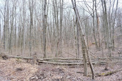 530 Tall Oak Ln, Lewisburg, PA 17837 - photo 6