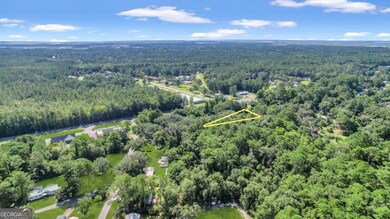 Tract B 38 Acres, Darien, GA 31305 - photo 4