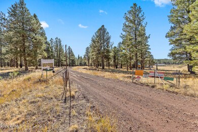 5 Acre Lot