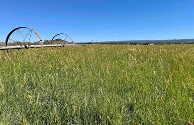 Lot 12 Road 23 5, Cortez, CO 81323 - photo 3