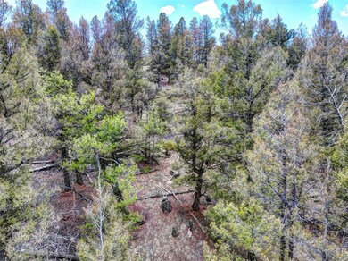 0 Galahad Way unit S1048485, Hartsel, CO 80449 - photo 7