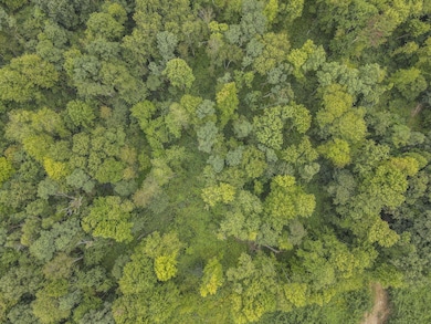 0 Sand Hollow Rd SE, Thornville, OH 43076 - photo 3