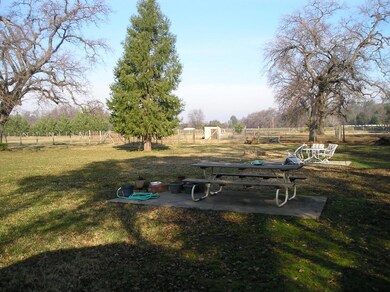 Large Yard