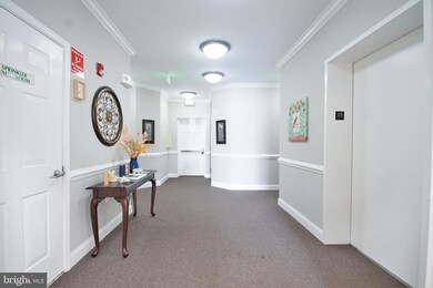 301 Tiree Ct unit 202, Abingdon, MD 21009 - photo 4