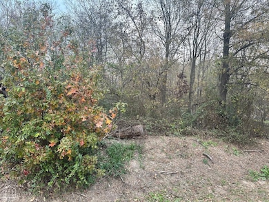 1 Main St, Alicia, AR 72410 - photo 6