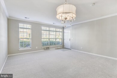 42593 Cardinal Trace Terrace, Ashburn, VA 20148 - photo 6