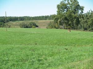 0 Hwy 65 N Saddlebrooke Ridge Dr, Harrison, AR 72601 - photo 7