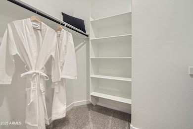 Owner's Suite Walk in Closet