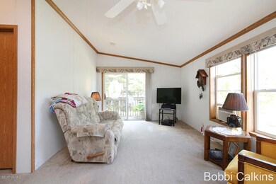 8241 Spring Rd NW, Stanton, MI 48888 - photo 3