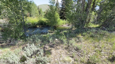 Brown Eastfork Lot 060425 16