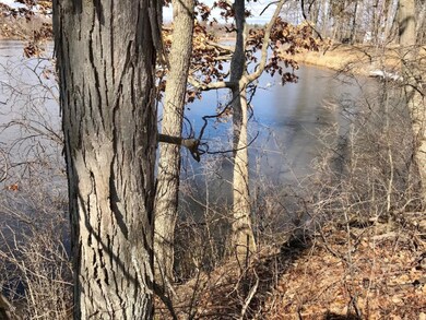 V/L S Nottawa Rd, Sturgis, MI 49091 - photo 7