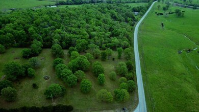 000 Missouri 125, Garrison, MO 65657 - photo 5