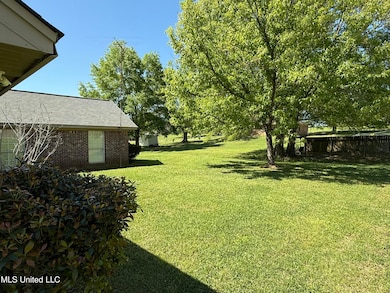 111 Chessie Ln, Carthage, MS 39051 - photo 7