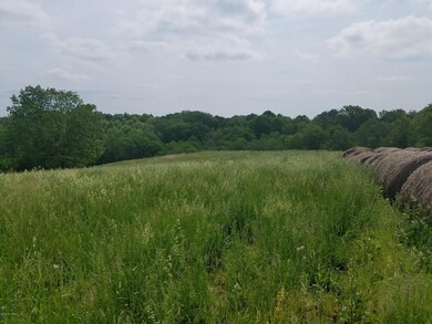 15 Cedar Mac Ln, Bloomfield, KY 40008 - photo 2