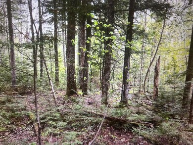 Lot #8 Hammond Brook Rd unit 8, Monson, ME 04464 - photo 5