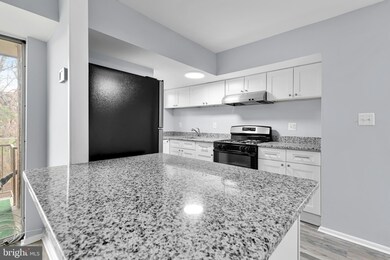 3712 N Rosser St unit 301, Alexandria, VA 22311 - photo 6