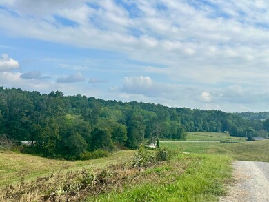 Tract 1 Pittsburg Landing Rd, London, KY 40741 - photo 7
