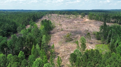 + - 9 7acres unit Attala County MS, Kosciusko, MS 39067 - photo 2