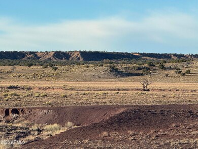 Lot #35 Bonito Valley Ranch -- unit 35, Saint Johns, AZ 85936 - photo 6