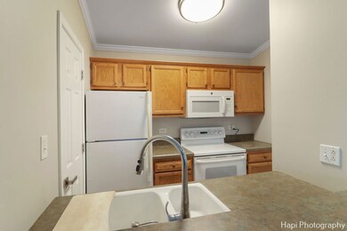 4408 W Shamrock Ln unit 3D, McHenry, IL 60050 - photo 5