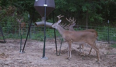 +/- 61.8 U S 59, Nacogdoches, TX 75965 - photo 5