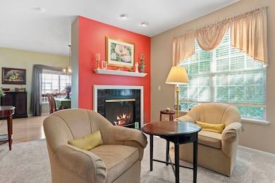 161 Patrick Ave unit 1803E, Willow Springs, IL 60480 - photo 5