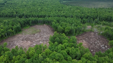 120 Acres Wisconsin 86, Tomahawk, WI 54487 - photo 3