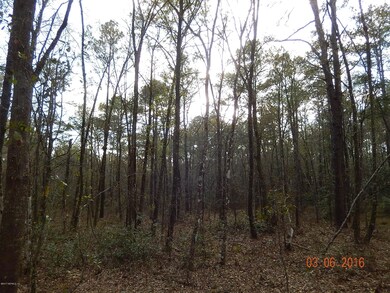 0000 Lightning Ln, Middleburg, FL 32068 - photo 5