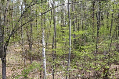 18 Ludlow Rd, Windham, NH 03087 - photo 3