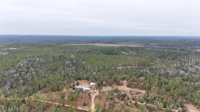 Vacant Joshua Rd, Marianna, FL 32448 - photo 2