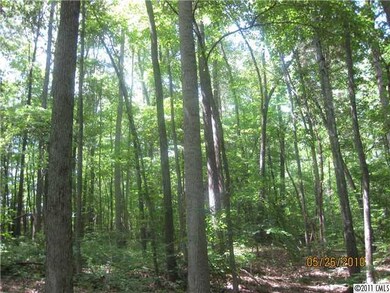 Exterior Front - Front wooded area