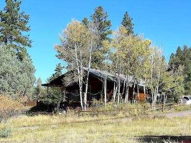 1069 Beucler Ln, Pagosa Springs, CO 81147 - photo 6