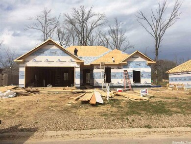 0 Addy Brook unit 16003171, Conway, AR 72032 - photo 2