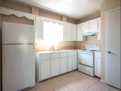 311 E Crockett Ave, Alamo, TX 78516 - photo 3