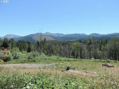 314 Thistledown Ln unit Lot 4, Gates, OR 97346 - photo 4