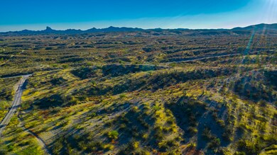 19580 W Verde Hills Dr unit A, Wickenburg, AZ 85390 - photo 4