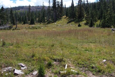 690 E Ridge Top Dr unit CBMHS u-A b-C lot 1, Brian Head, UT 84719 - photo 2