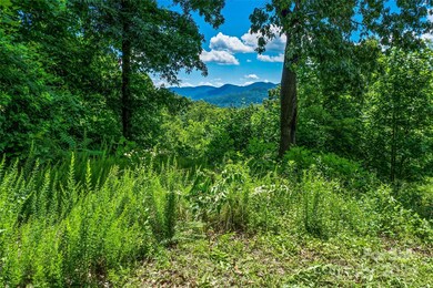 TBD Kestrel Ln unit T-75, Black Mountain, NC 28711 - photo 3