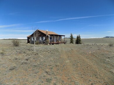 2703 Rhyolite Dr, Como, CO 80432 - photo 7