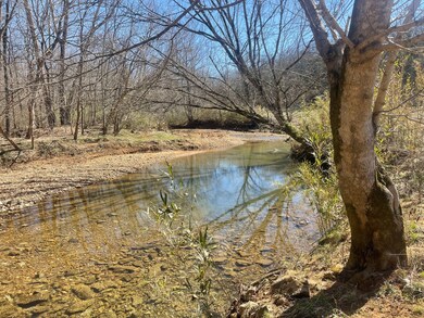 1 Old Clarksville Pike, Chapmansboro, TN 37035 - photo 5