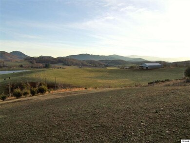 Additional View 4