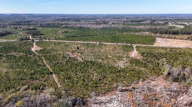 Mt Pisgah Road C SC Land for Sale-07