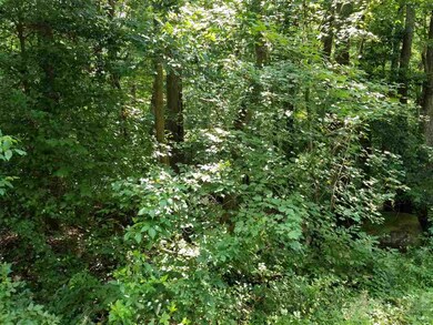 0 Moore Mountain Rd unit 2401556, Baldwin, NC 27312 - photo 6