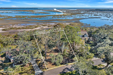 TBD Broadview Dr, Ridgeland, SC 29936 - photo 3