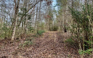 25.95 Pleasant Hill Rd, Ellijay, GA 30540 - photo 4